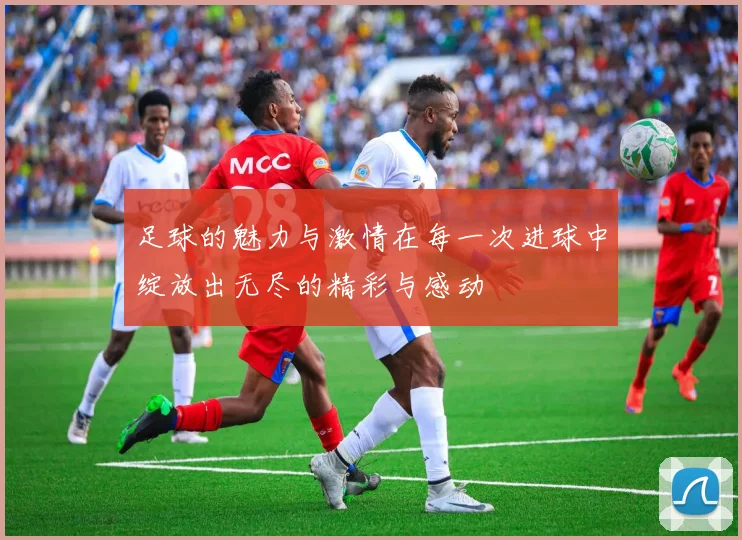 足球的魅力与激情在每一次进球中绽放出无尽的精彩与感动